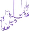 Feliway video - multi-cat households