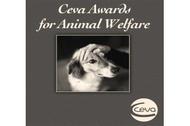 Welfare awards with canvas