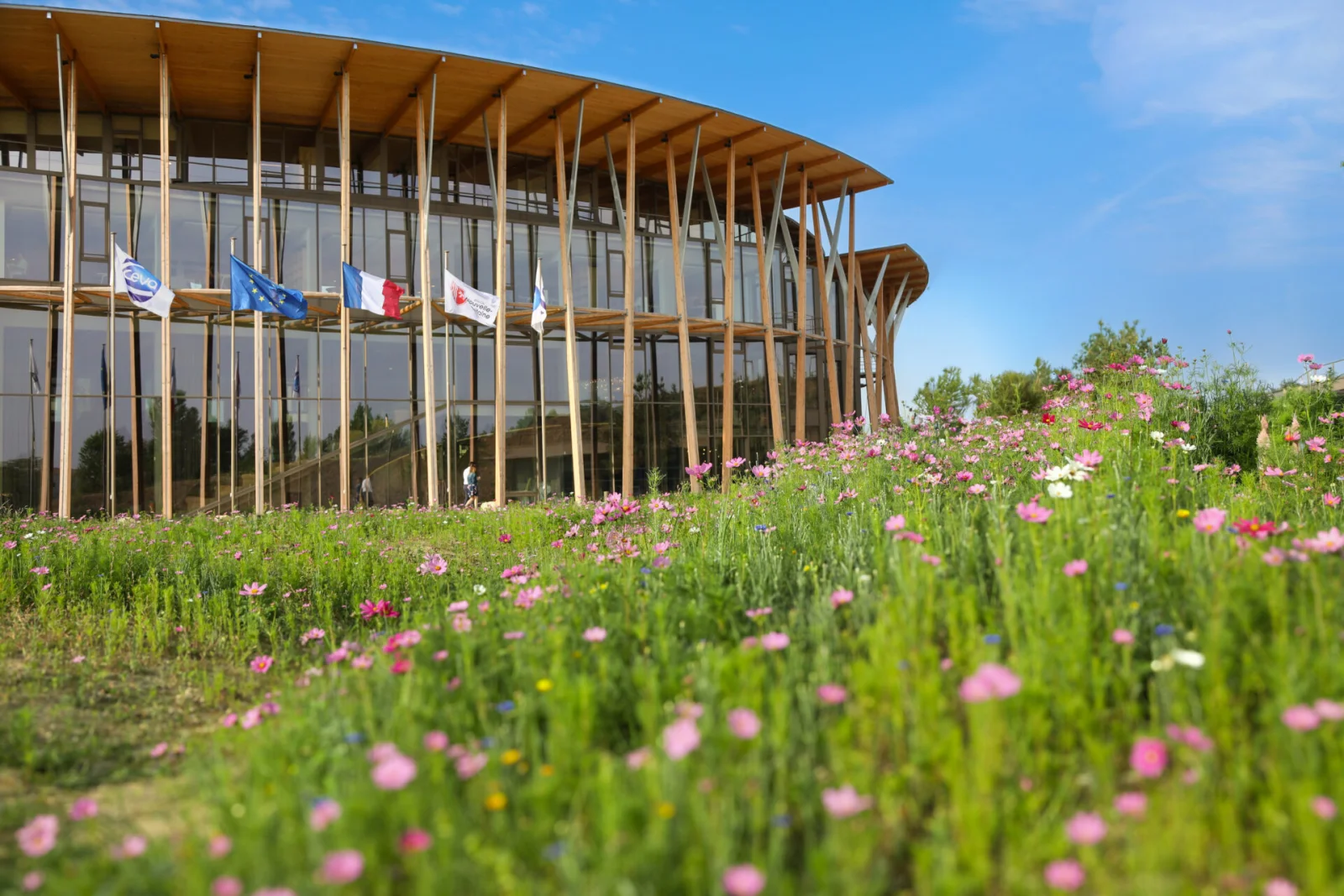 New headquarters entry from the garden with the flags