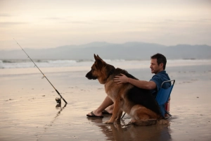 a man and his dog fishing on the beach