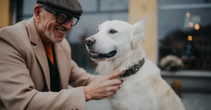 owner with dog earing glasses