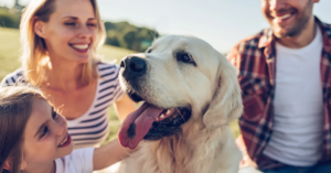 dog with family in field