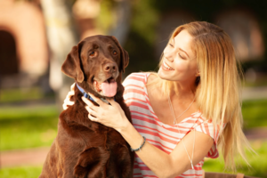 Woman in park with chocolate labrador retriever