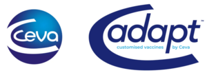 Ceva adapt